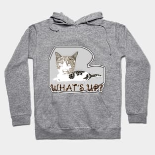 Feline Conversations Hoodie